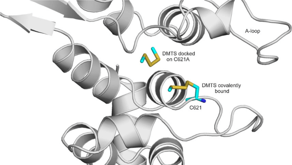 Elucidation of the binding mode of organic polysulfides on the human TRPA1 receptor