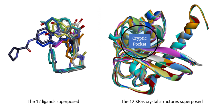 Nmx Research And Solutions - Molecular Forecaster